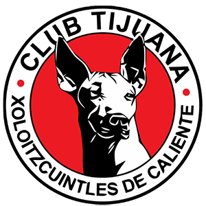 Vitórias do Tijuana contra o Corinthians