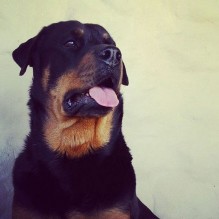 Eduardo