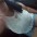 Thaina