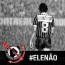 Foto do perfil de RAFAEL