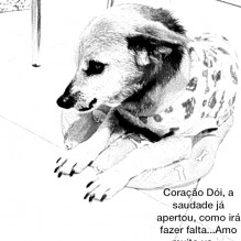 Bruno