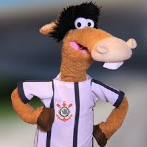 Vinicius