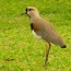 Foto do perfil de KERO
