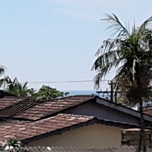 Luciano