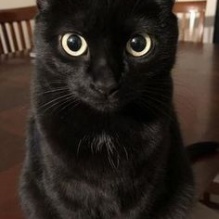 Roqueirito