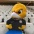Toler�ncio