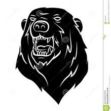 Wladimir