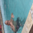 Foto do perfil de Cassio
