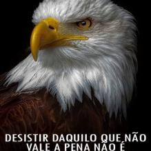 Salis