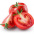Foto do perfil de Tomate Nordestino