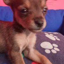 Jos�