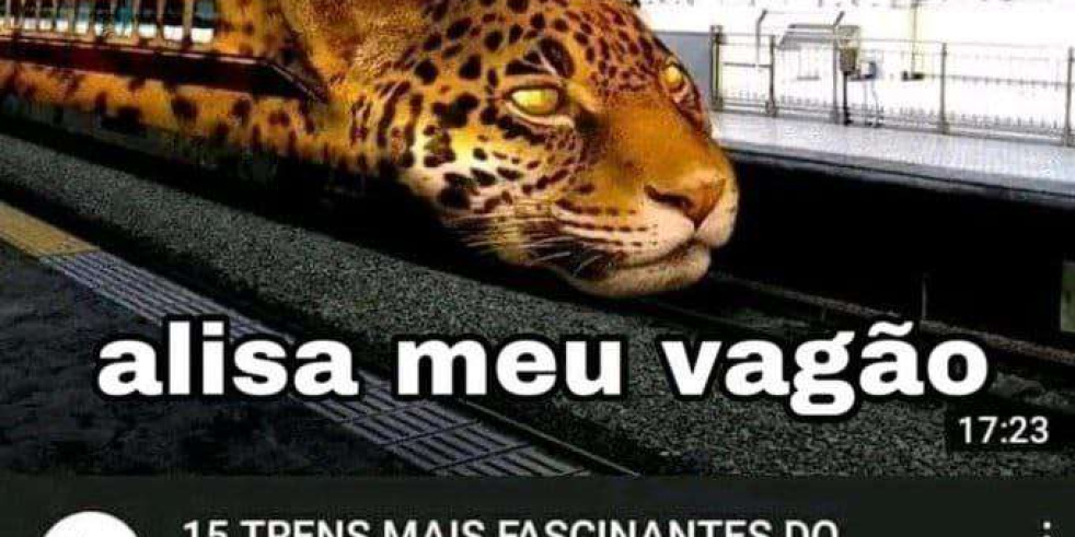Jo�o