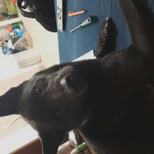 Rafael