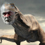 Avatar de Manossauro Rex