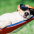 Foto do perfil de Cachorro Relaxando