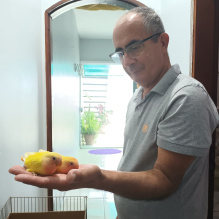 Romildo