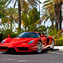 Enzo