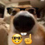 Foto do perfil de Sclop