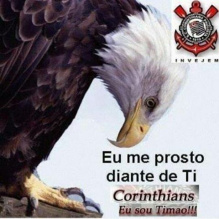 Gustavo