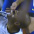 M�o