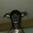 Foto do perfil de ReiJr10