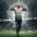 Foto do perfil de Memphis