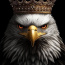 Avatar de luiz augusto ferreira