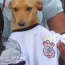 Foto do perfil de Sr