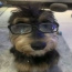 Foto do perfil de Zanin