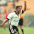 Edson