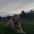 Cassio