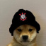 Foto do perfil de Jo�o