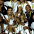 Foto do perfil de Guilherme Rtz