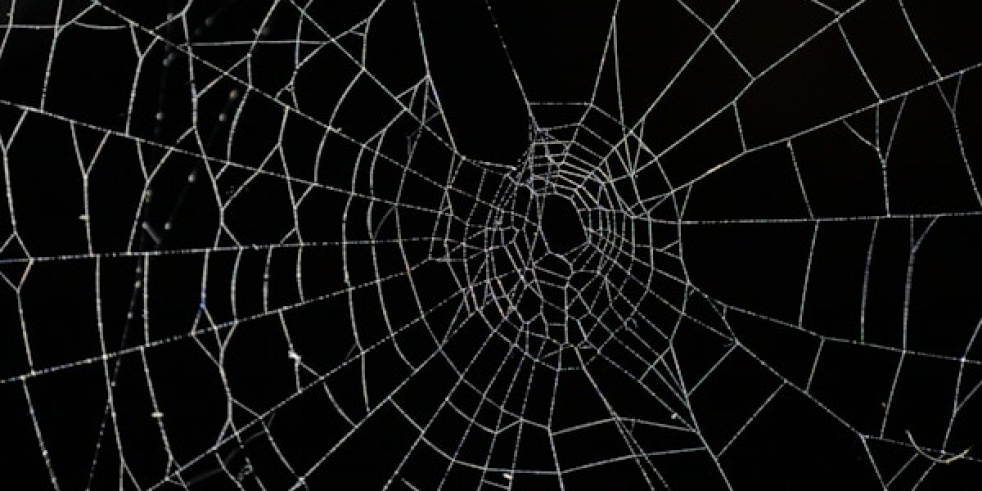 Homem-Aranha