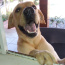 Avatar de Bruno