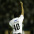 Anderson
