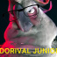 Foto do perfil de Doripal