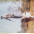 Surfista