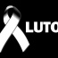 Foto do perfil de Dod�