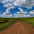 Foto do perfil de Campos Gerais