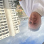 Foto do perfil de Mauro
