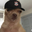 Foto do perfil de Rapha