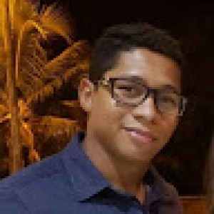 Fernando L Costa