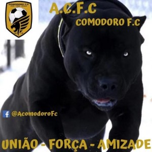Vinicius