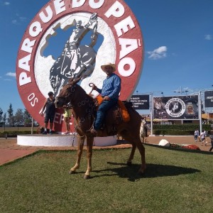 �lvaro