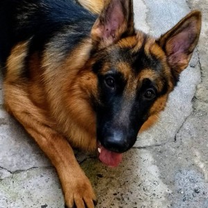 Bruce