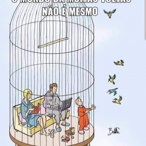 Mayara