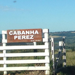 Cabanha