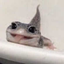 Largatixa