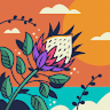 Ws